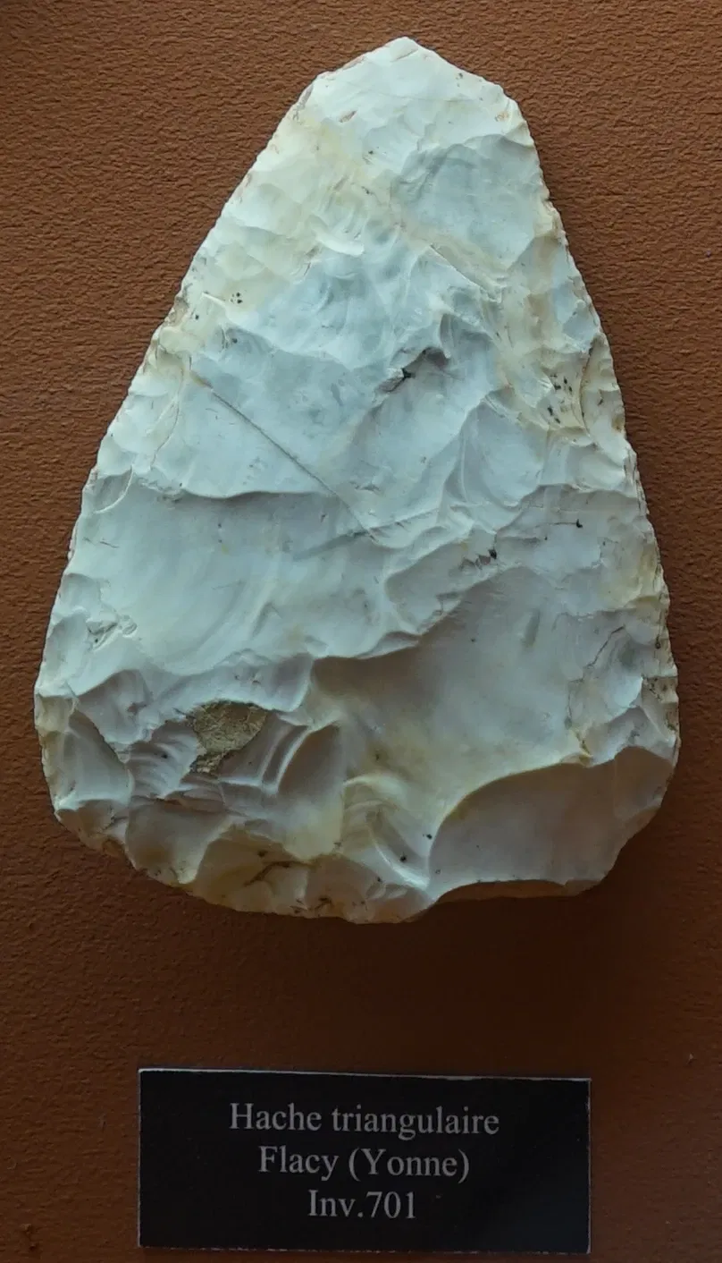 Museum of Fine Arts and Archeology