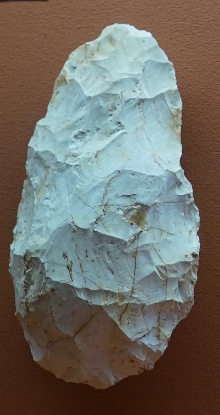 Museum of Fine Arts and Archeology