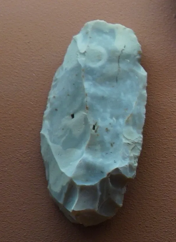 Museum of Fine Arts and Archeology