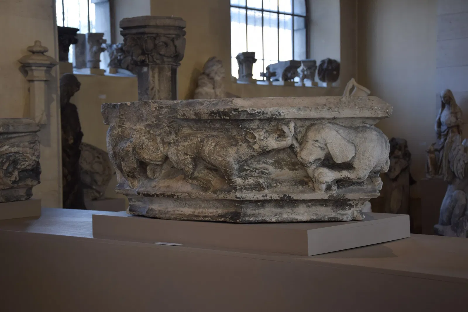 Museum of Fine Arts and Archeology