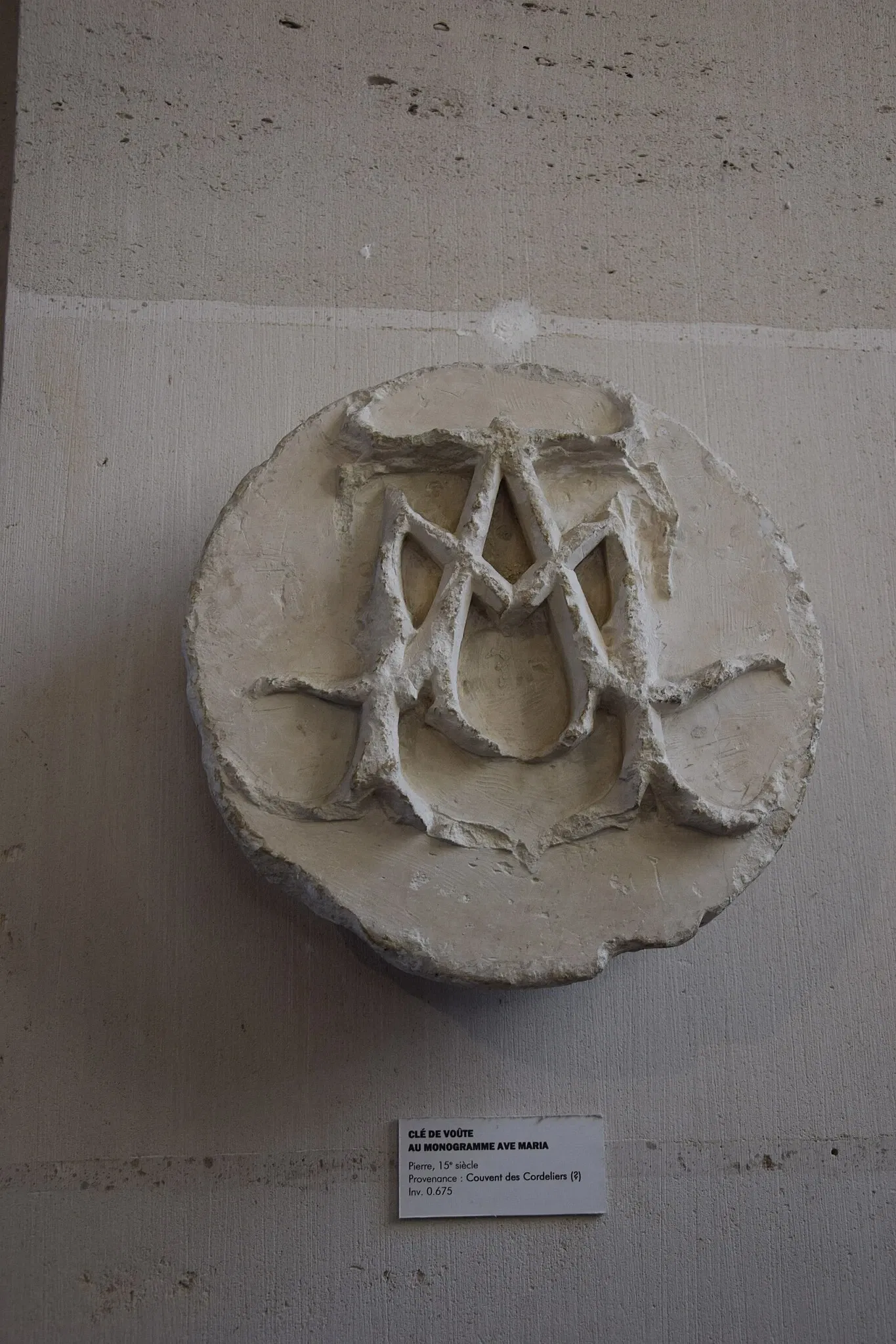 Museum of Fine Arts and Archeology