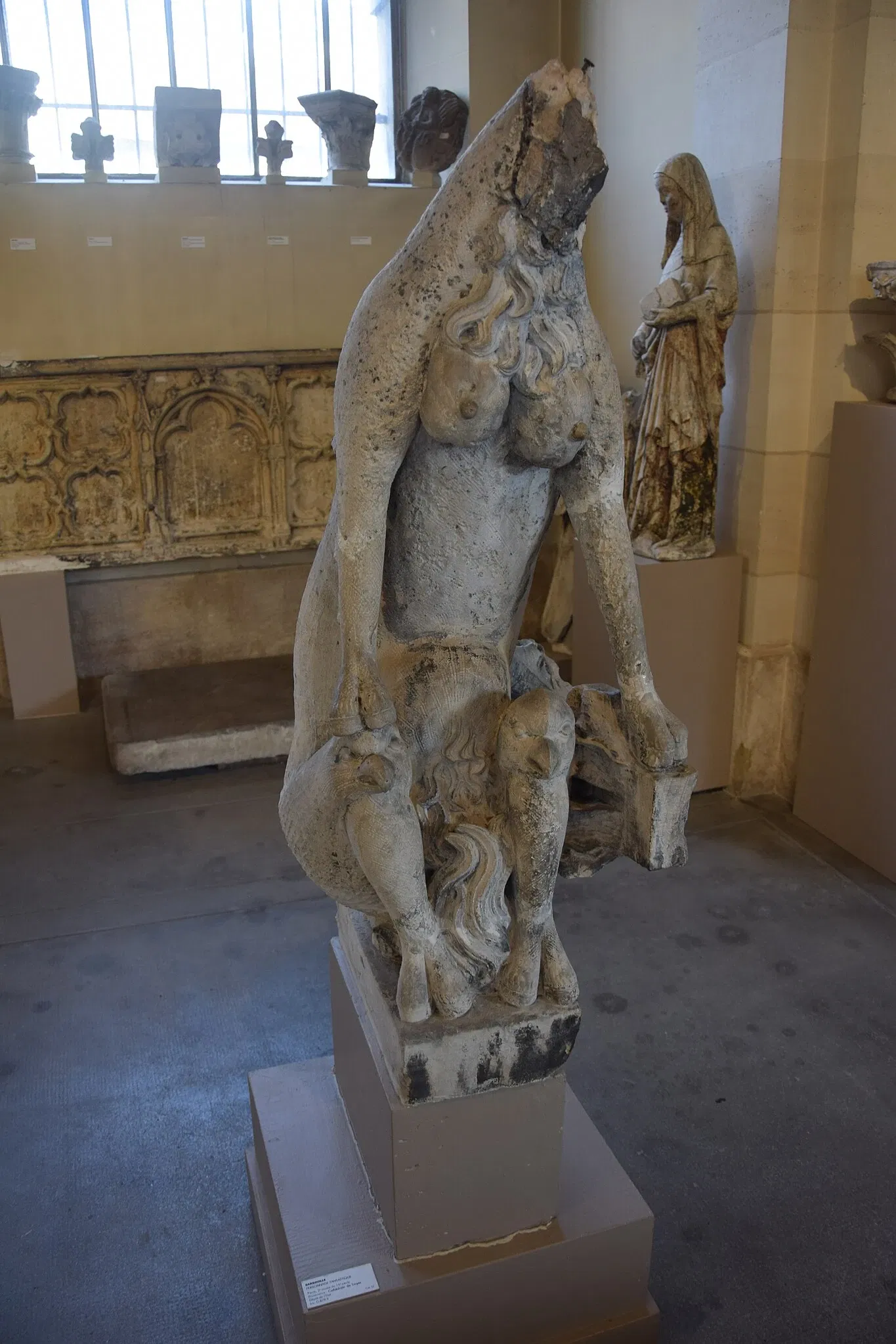 Museum of Fine Arts and Archeology