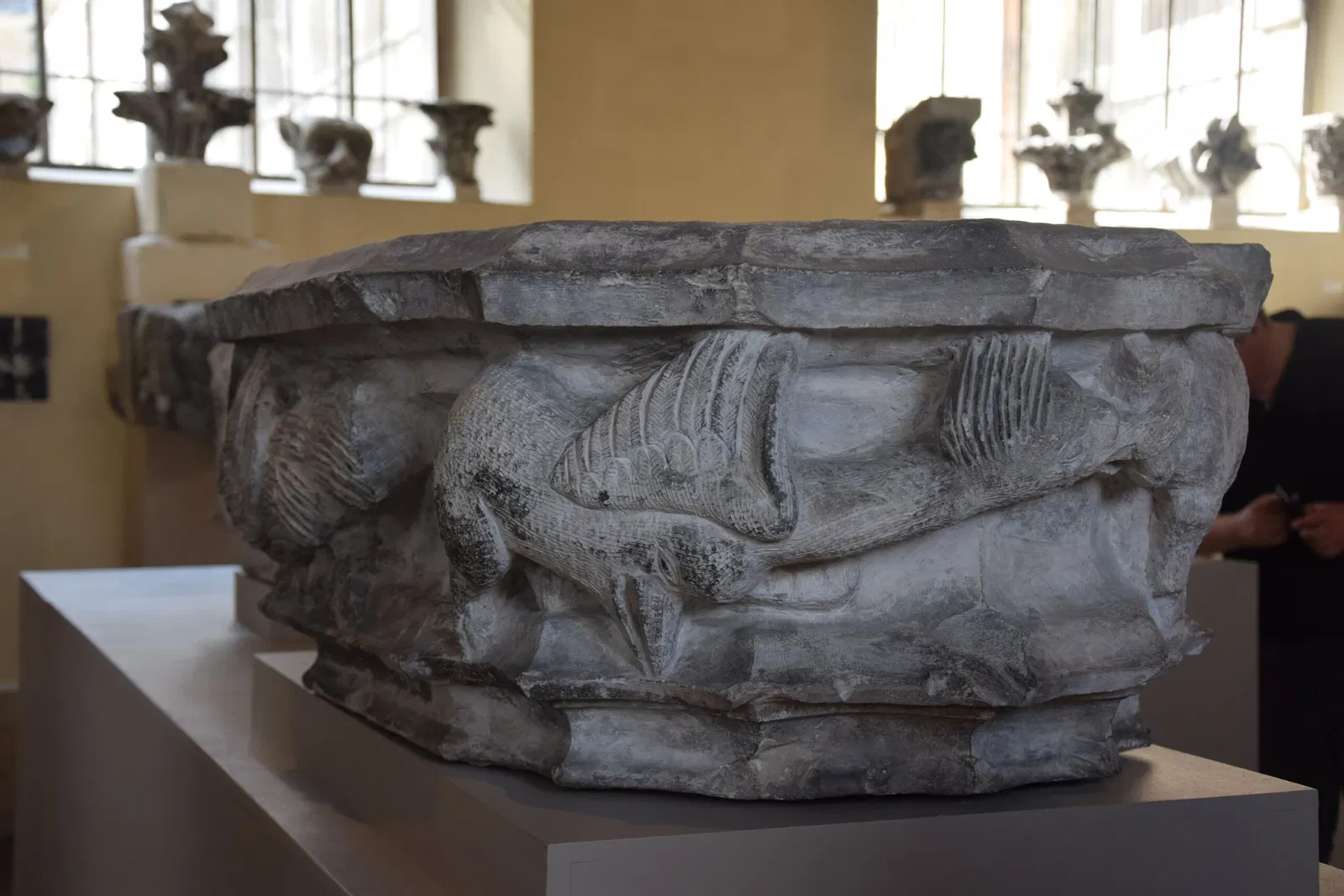 Museum of Fine Arts and Archeology