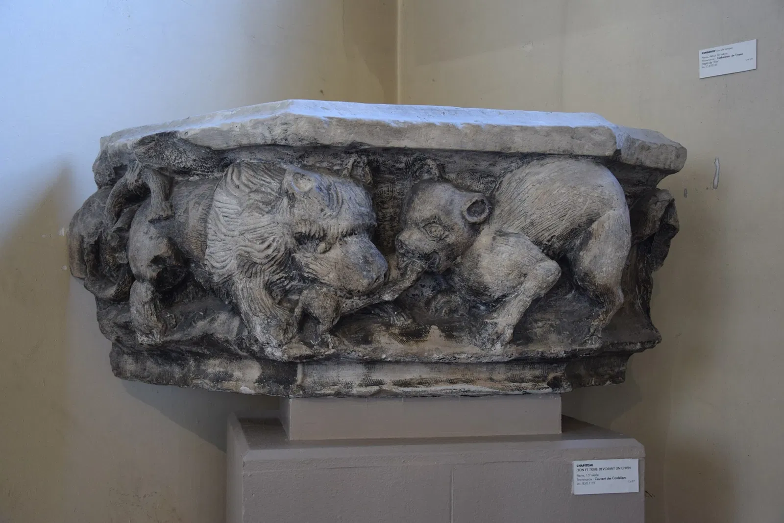 Museum of Fine Arts and Archeology