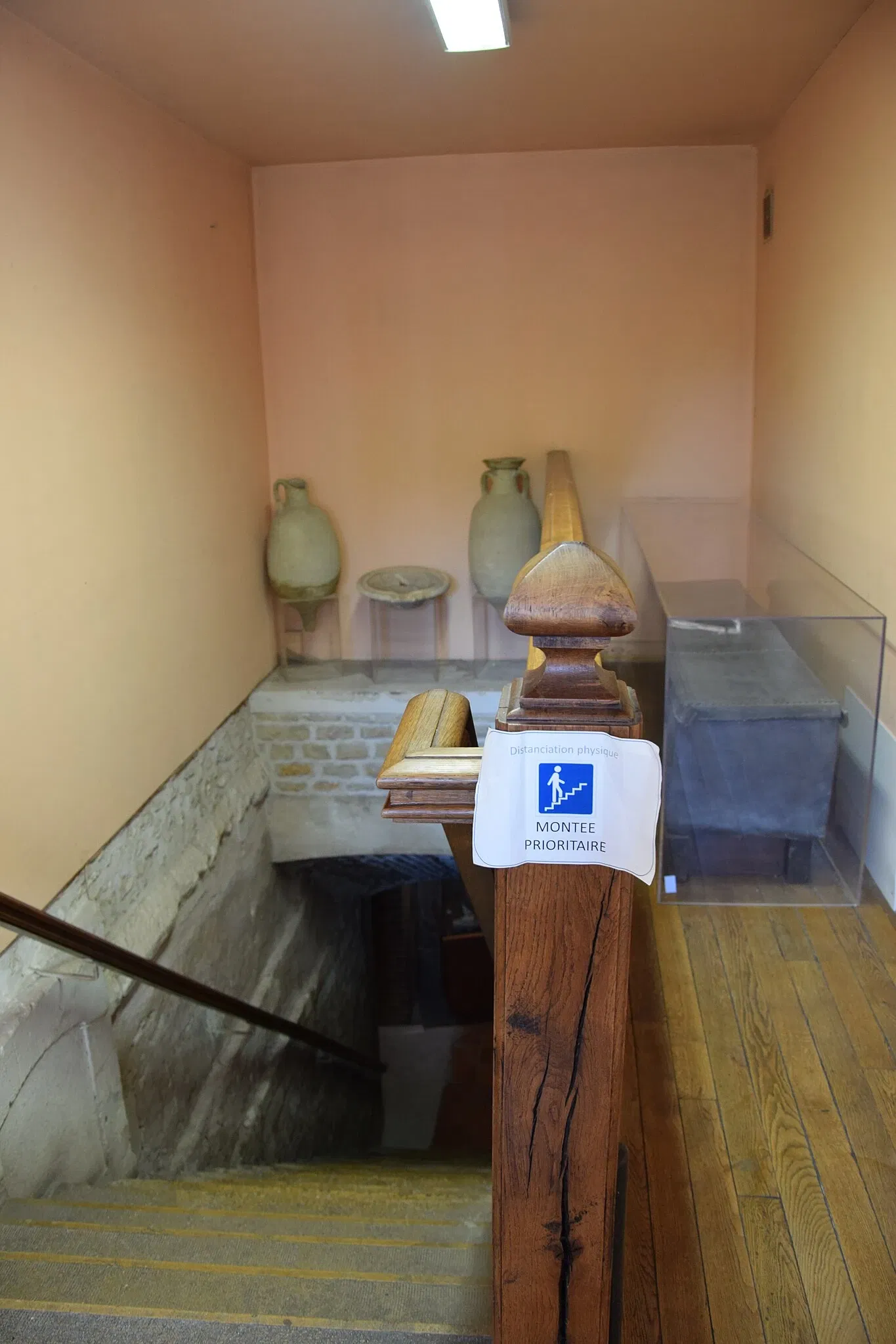 Museum of Fine Arts and Archeology