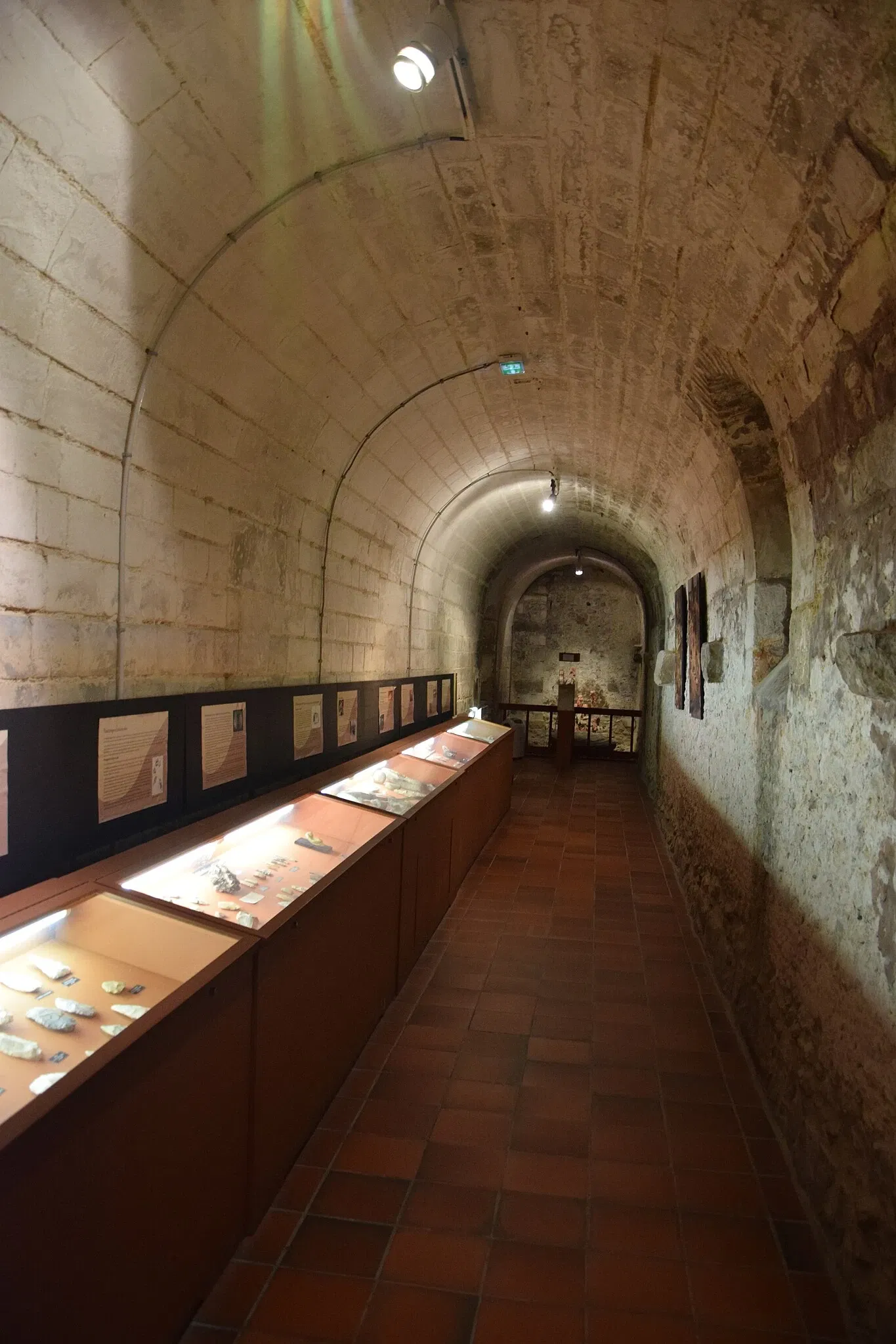 Museum of Fine Arts and Archeology