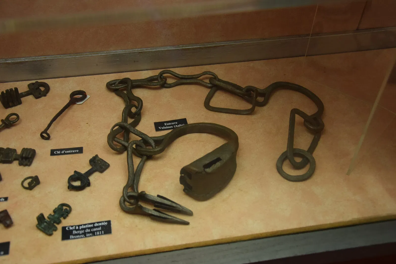 Museum of Fine Arts and Archeology