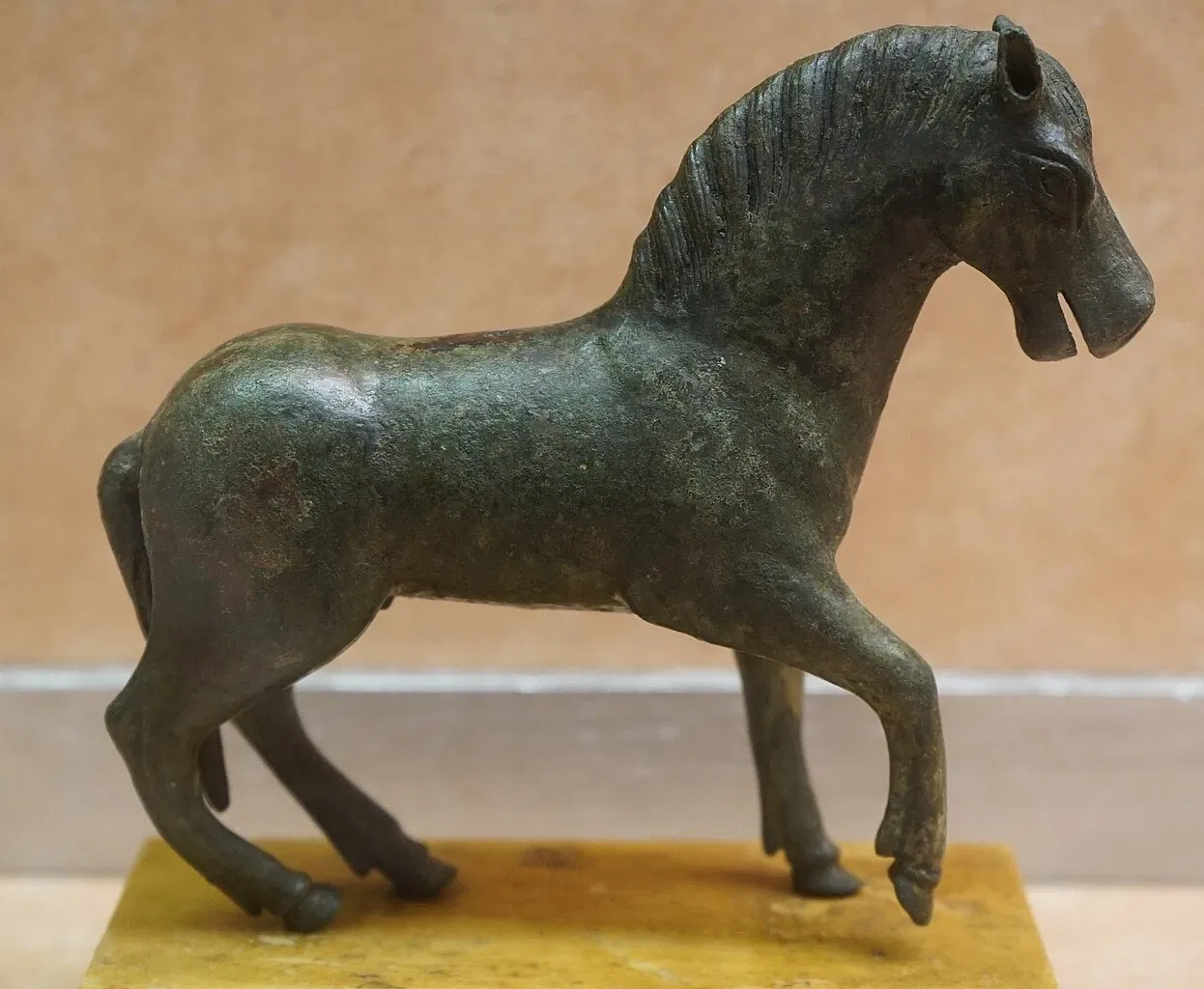 Museum of Fine Arts and Archeology