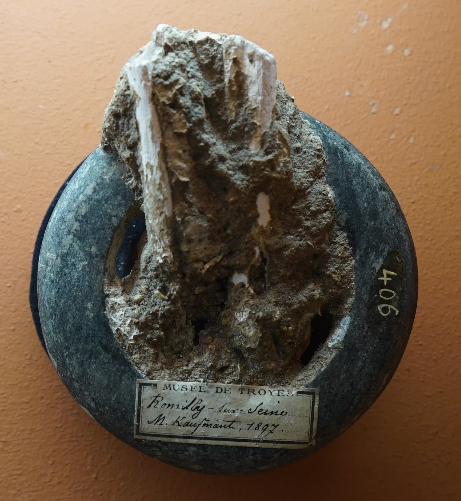 Museum of Fine Arts and Archeology