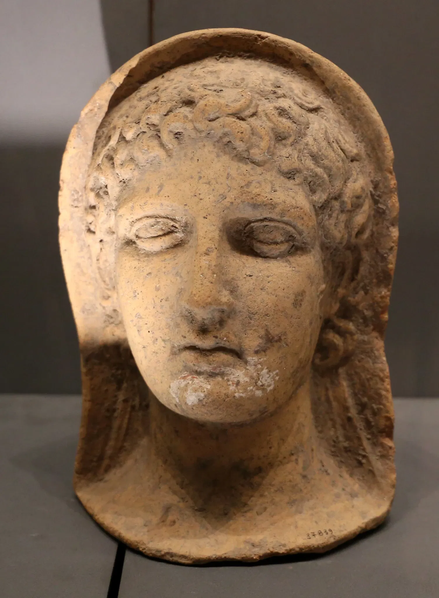 National Archaeological Museum of Siena