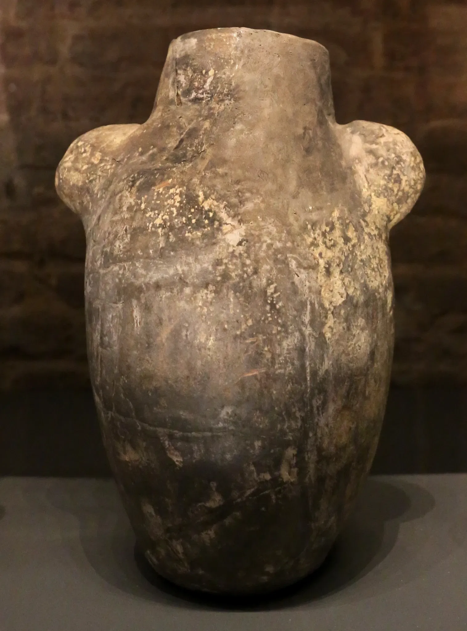 National Archaeological Museum of Siena