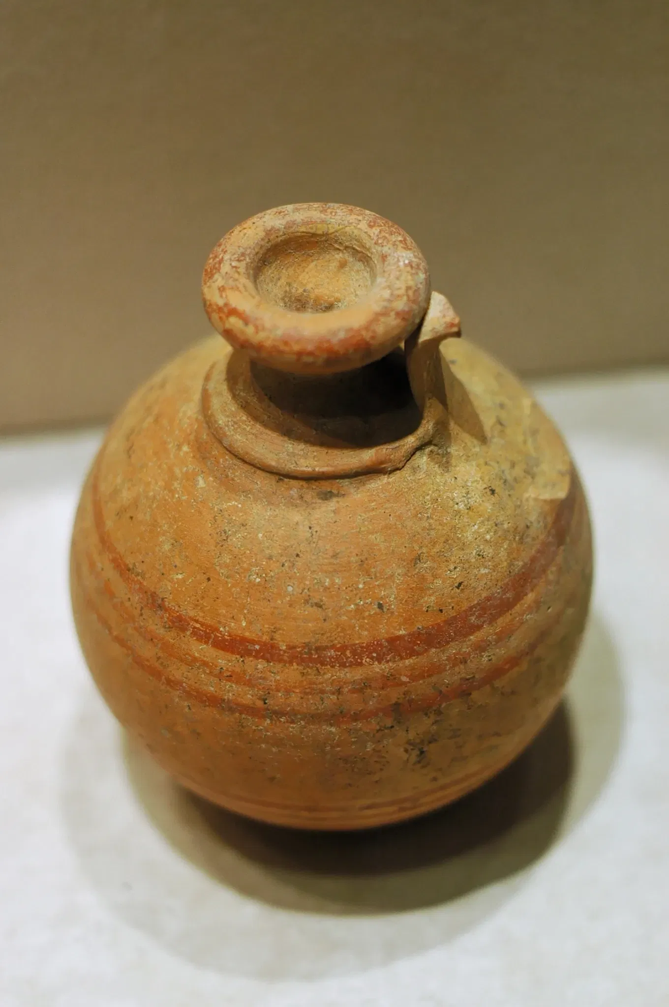 National Archaeological Museum of Siena