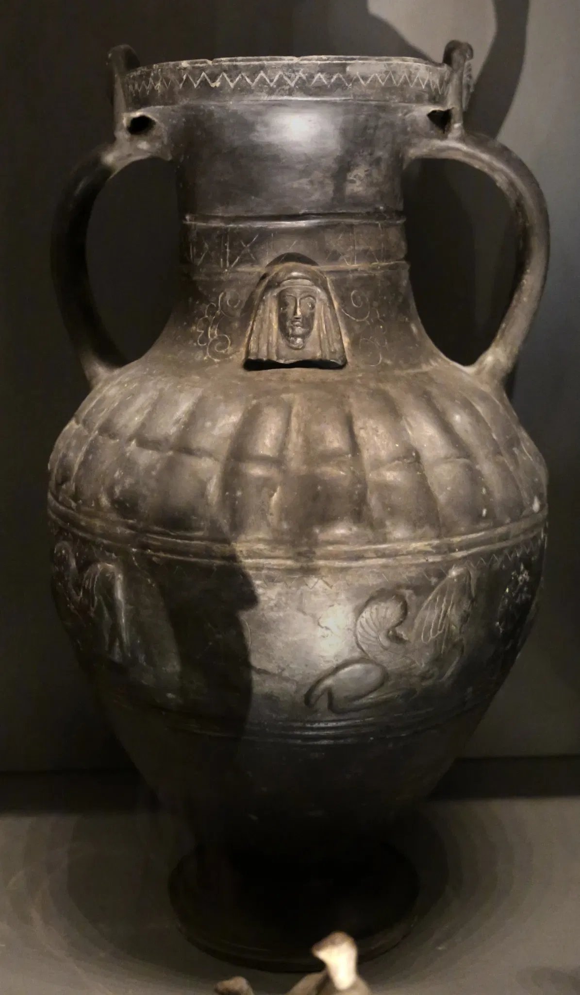 Museo Archeologico Nazionale di Siena