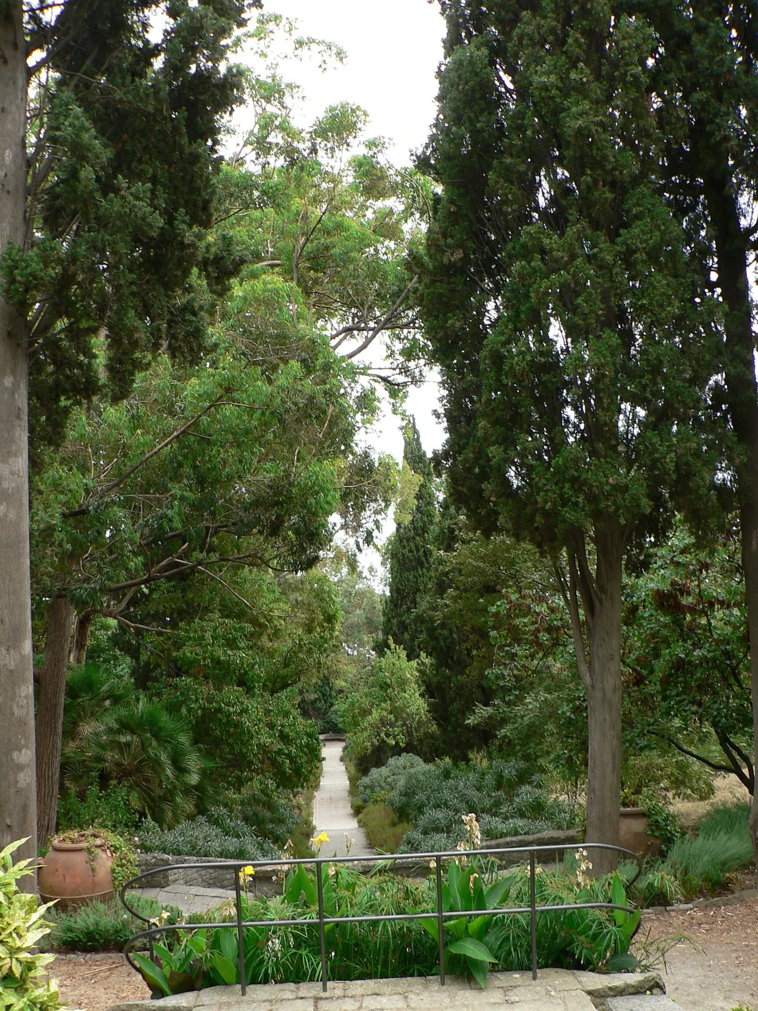 Giardini Botanici Hanbury