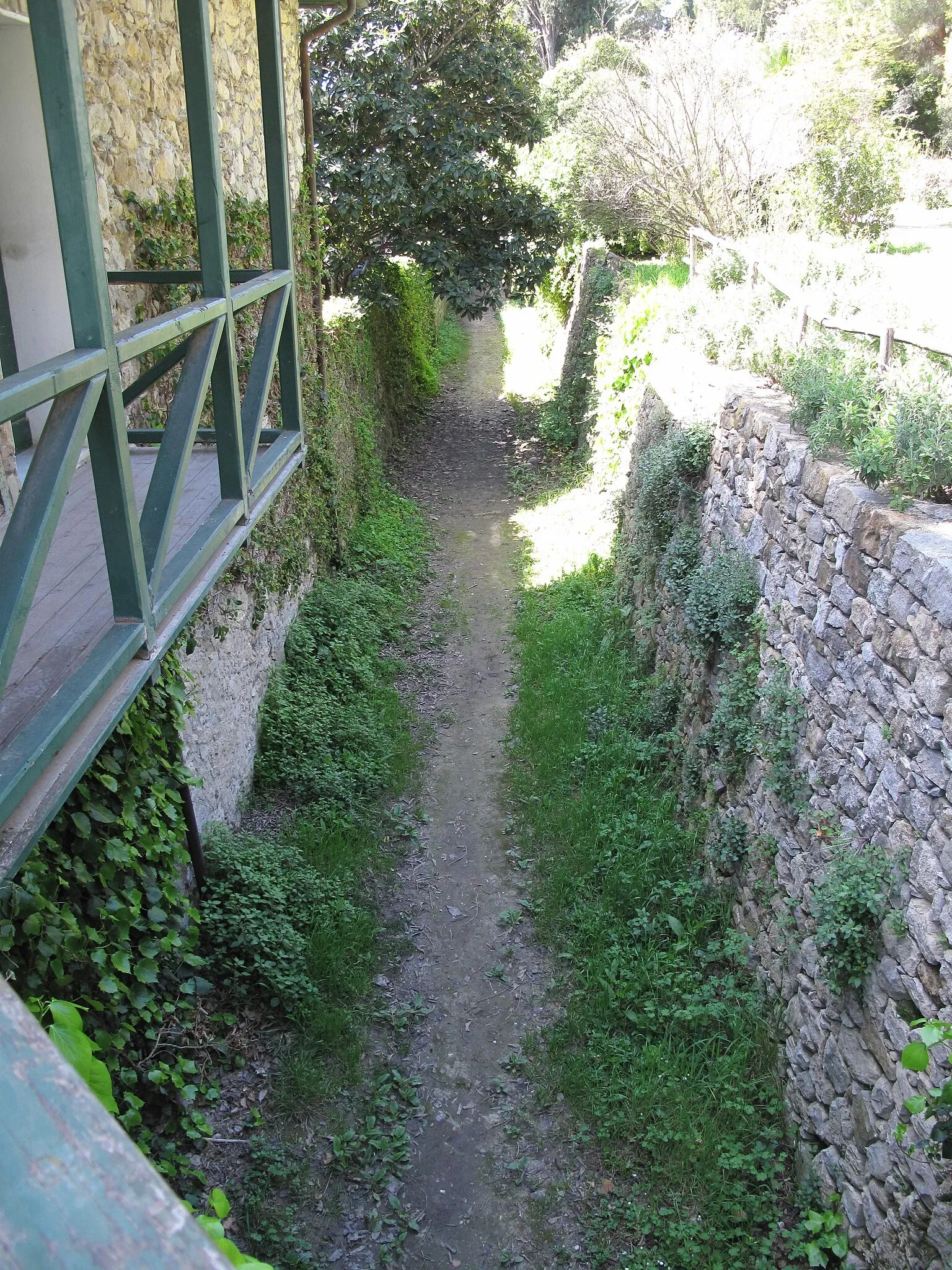 Hanbury Botanical Garden