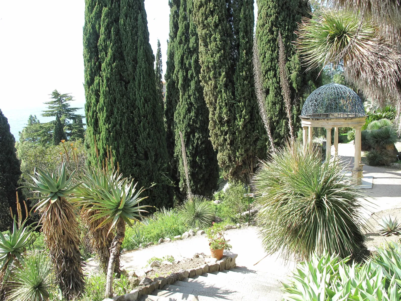 Hanbury Botanical Garden