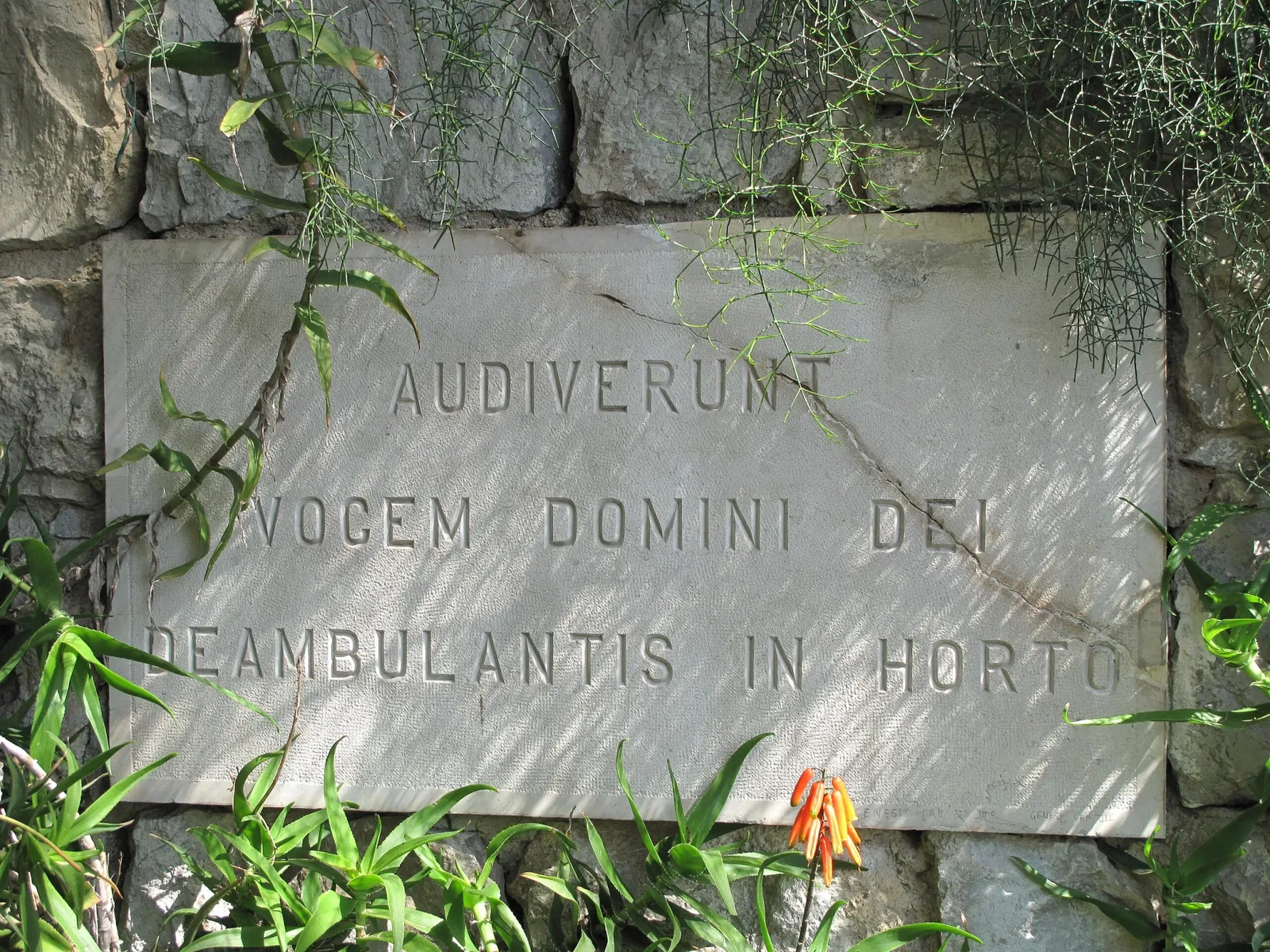 Giardini Botanici Hanbury