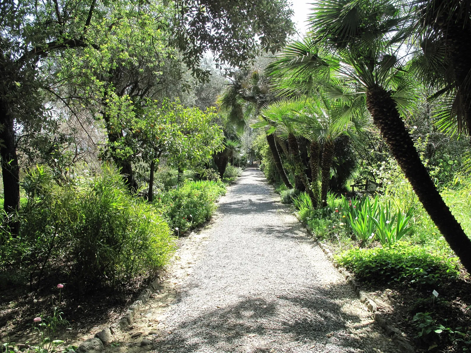 Giardini Botanici Hanbury