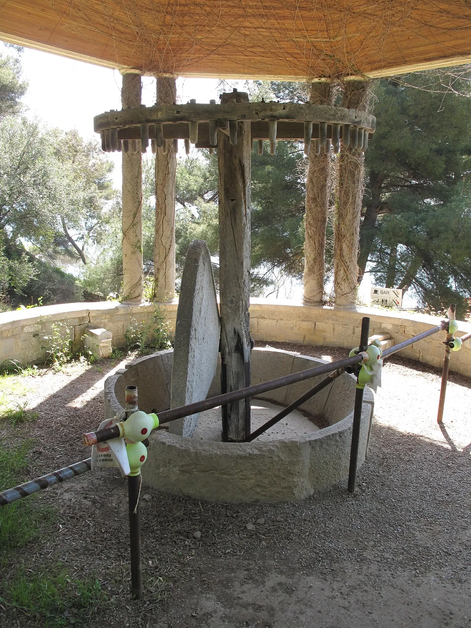 Giardini Botanici Hanbury