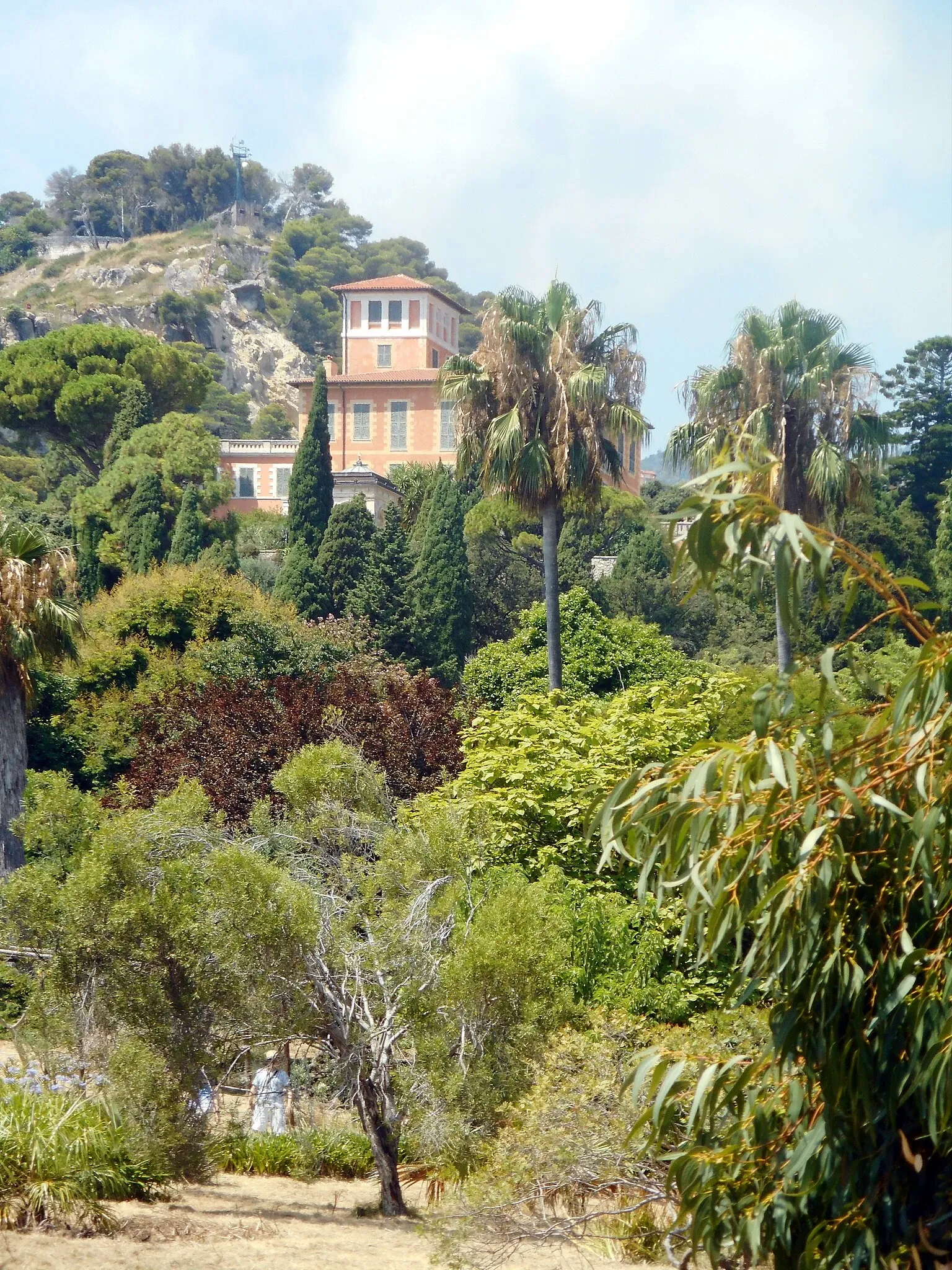 Giardini Botanici Hanbury