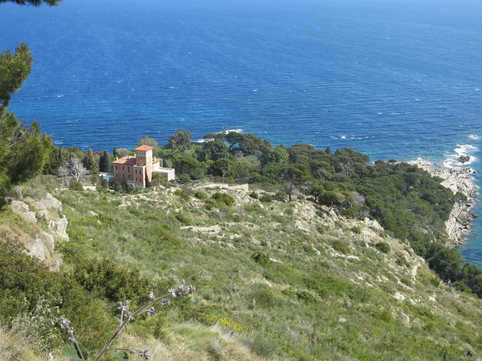 Hanbury Botanical Garden