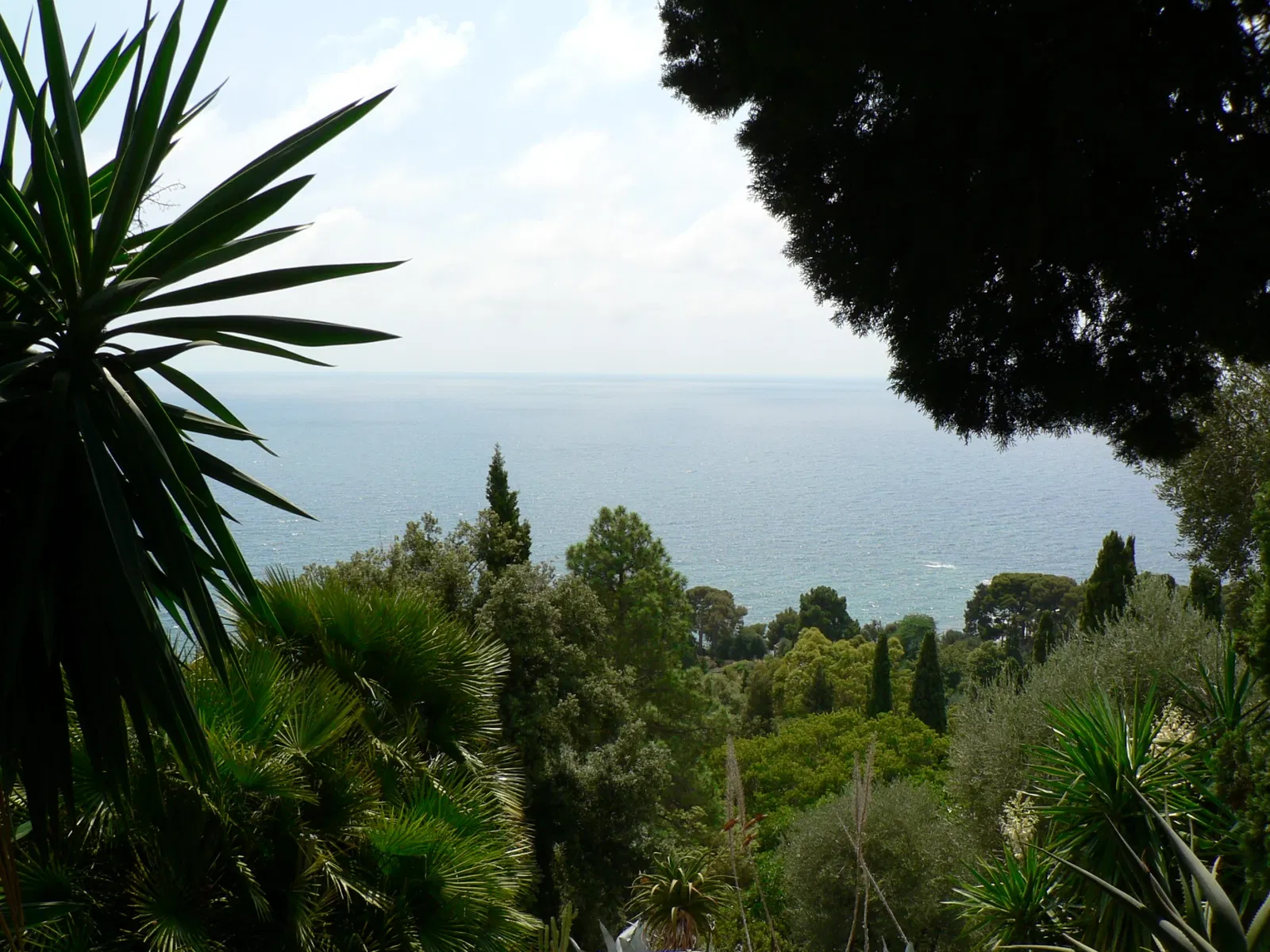 Giardini Botanici Hanbury