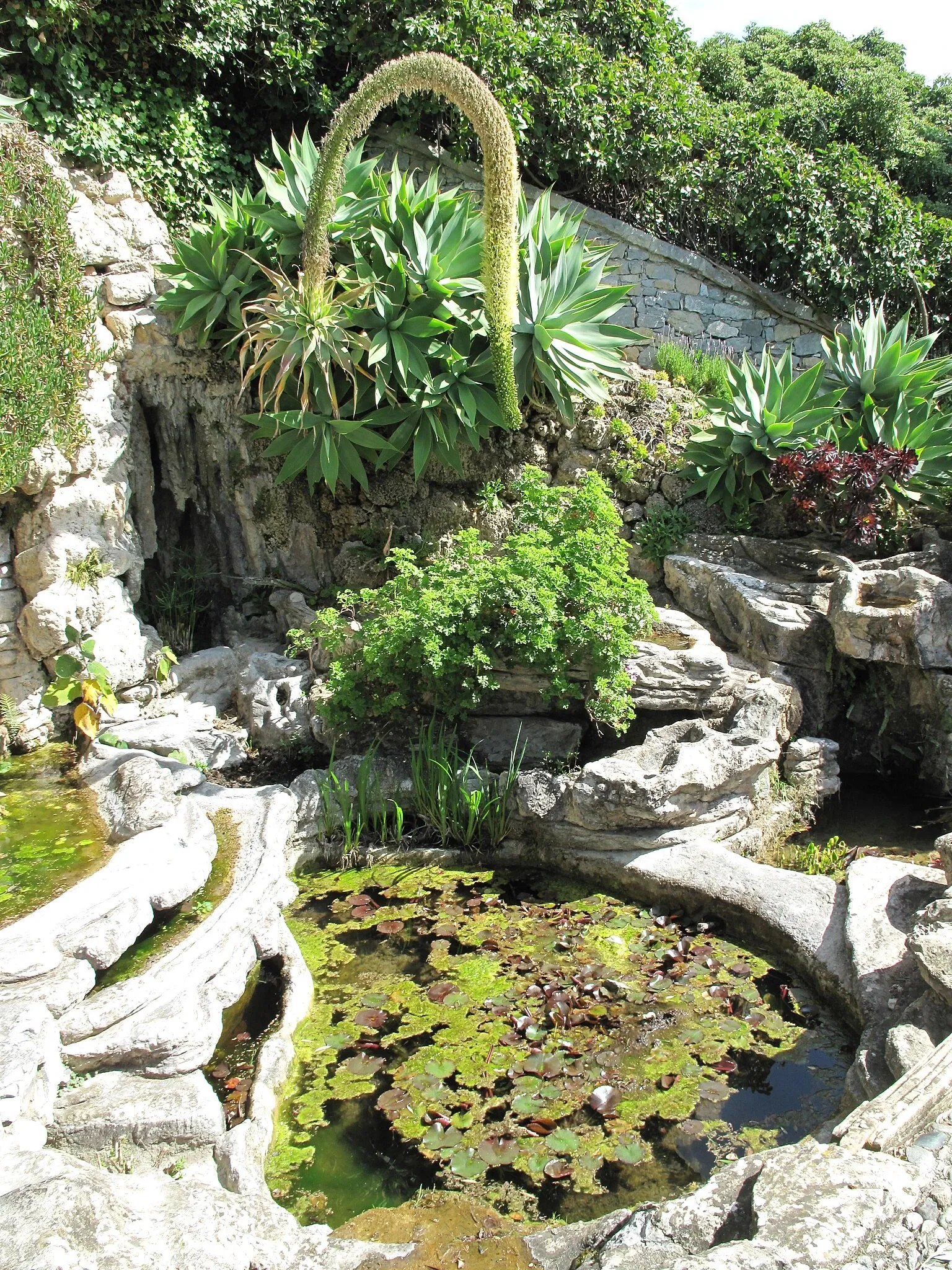 Hanbury Botanical Garden