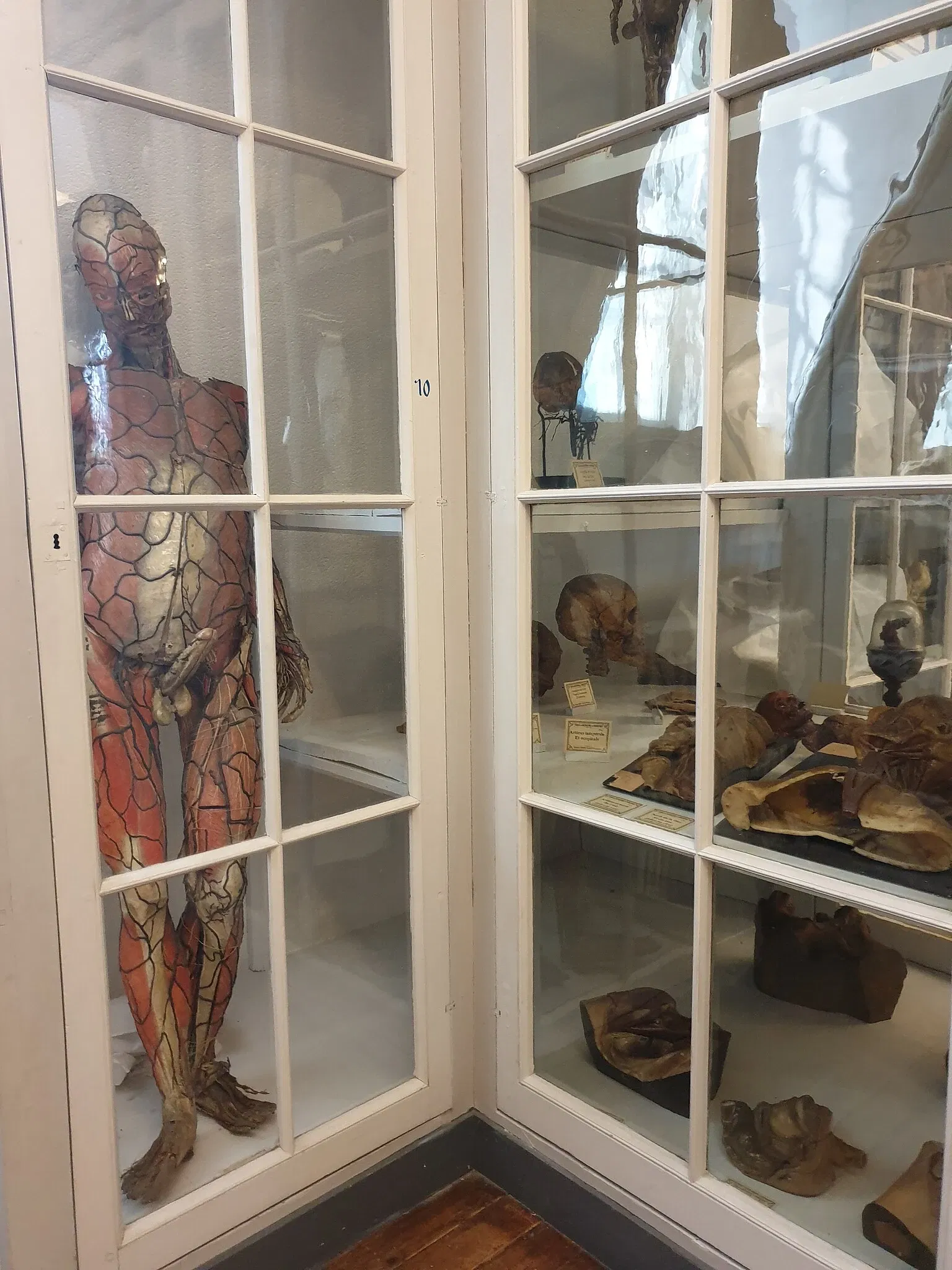 Old School of Naval Medicine