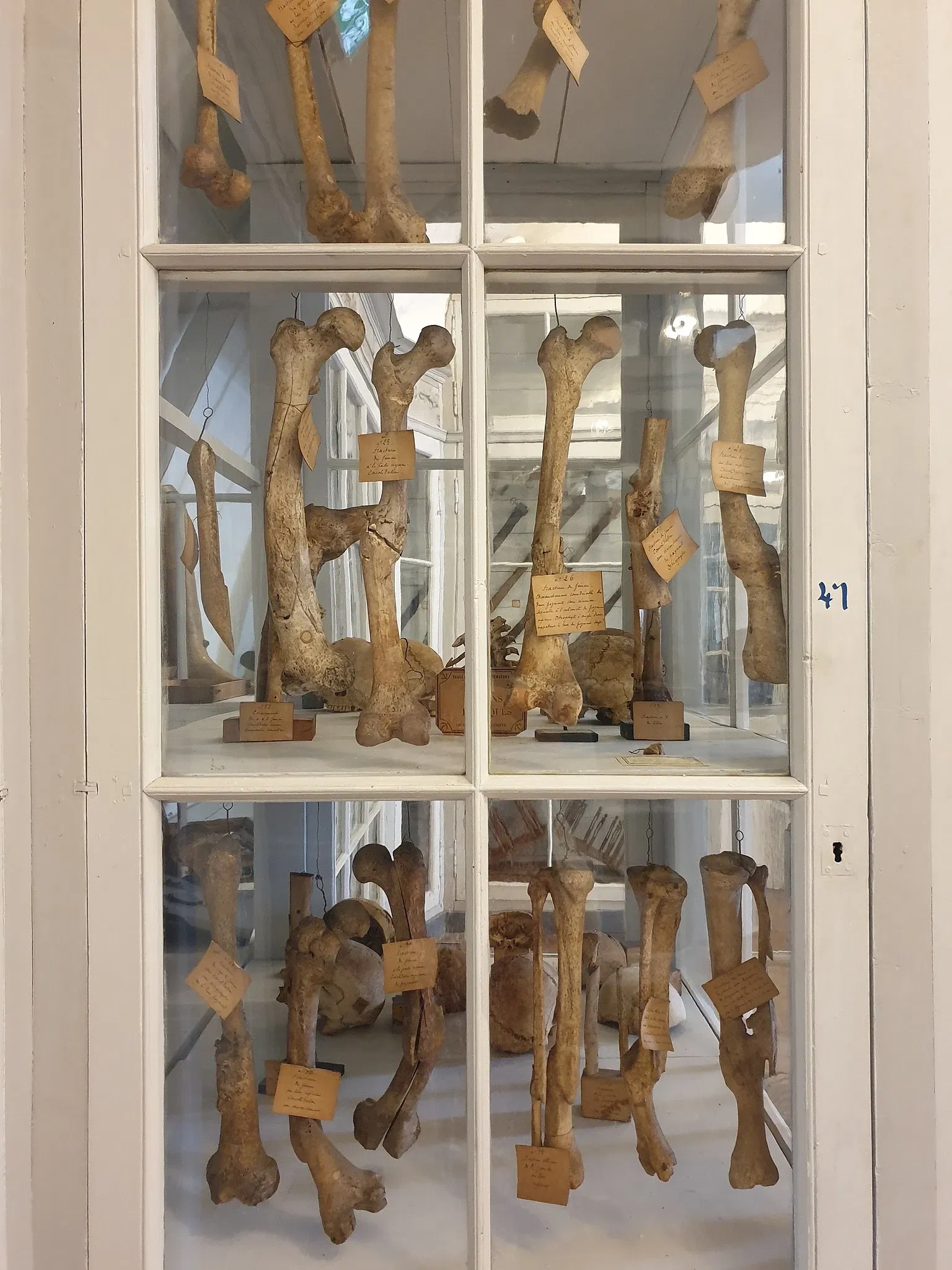 Old School of Naval Medicine