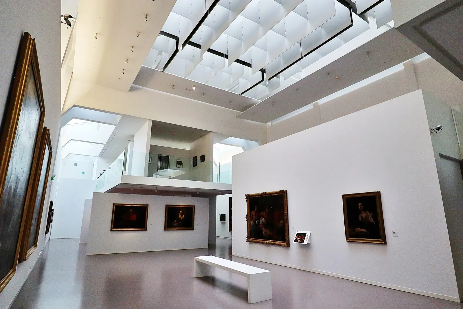 Museum of Fine Arts