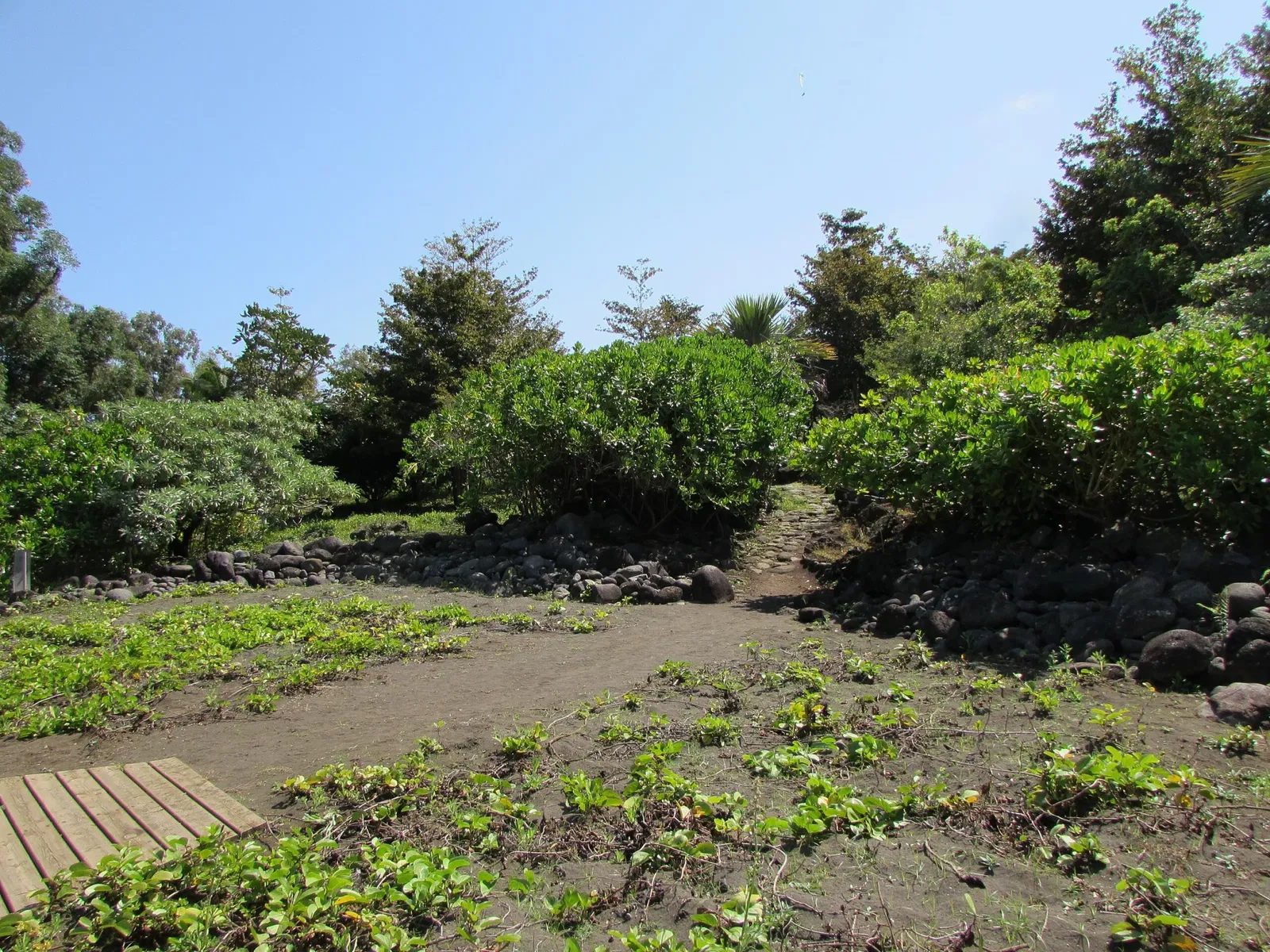 National Conservatory and Botanical Garden