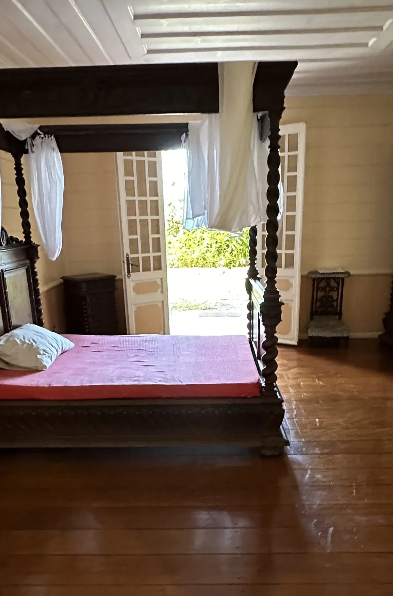 National Conservatory and Botanical Garden