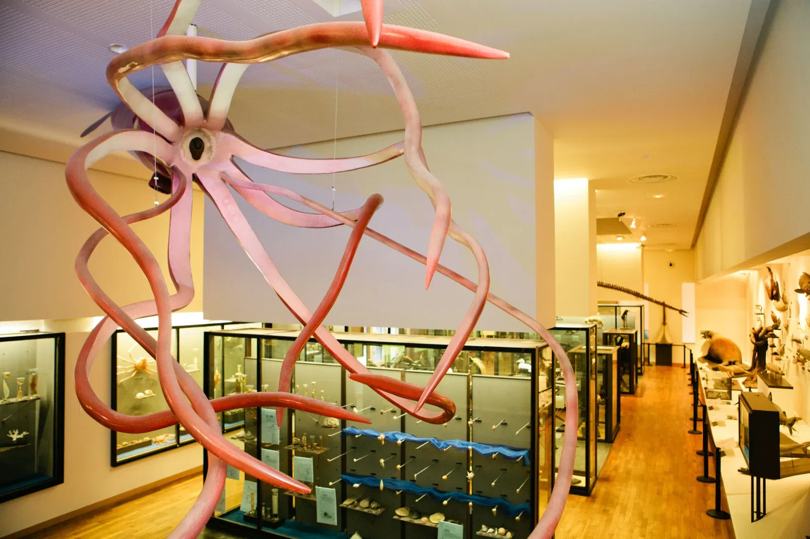 Nancy Aquarium Museum