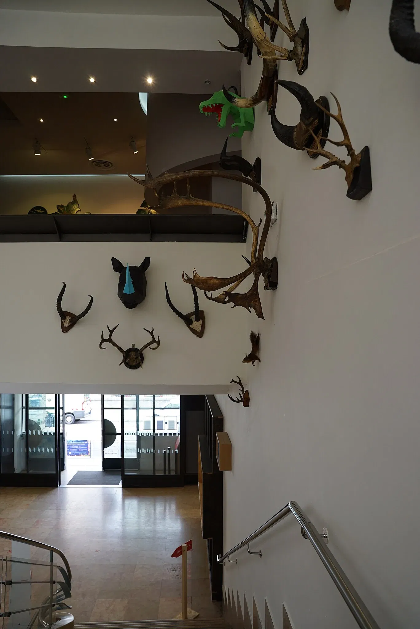 Nancy Aquarium Museum