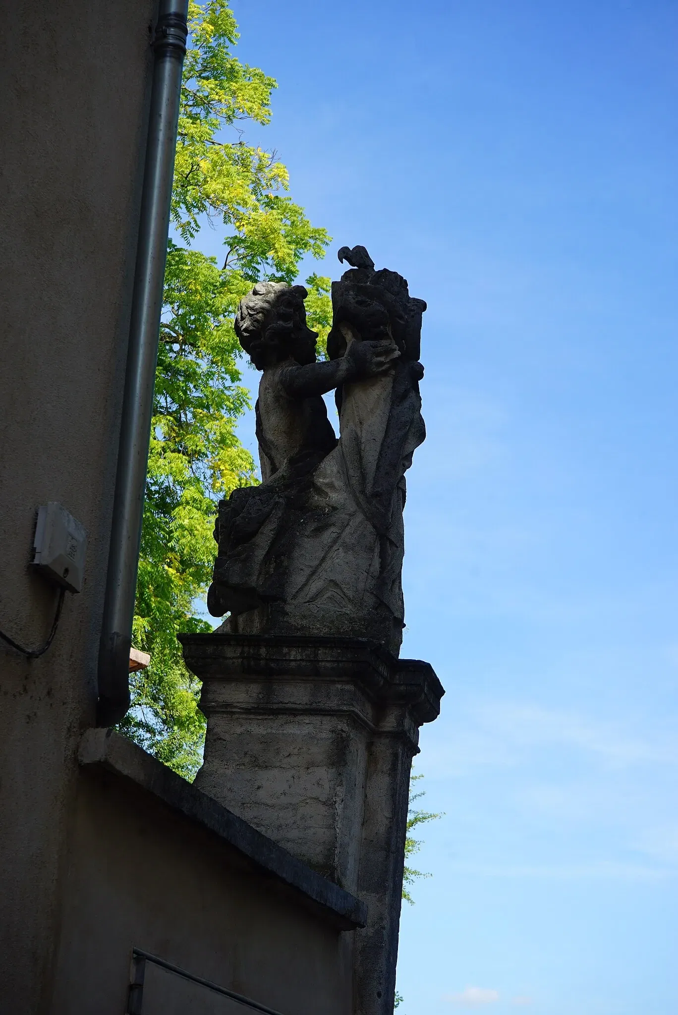 Nancy Aquarium Museum