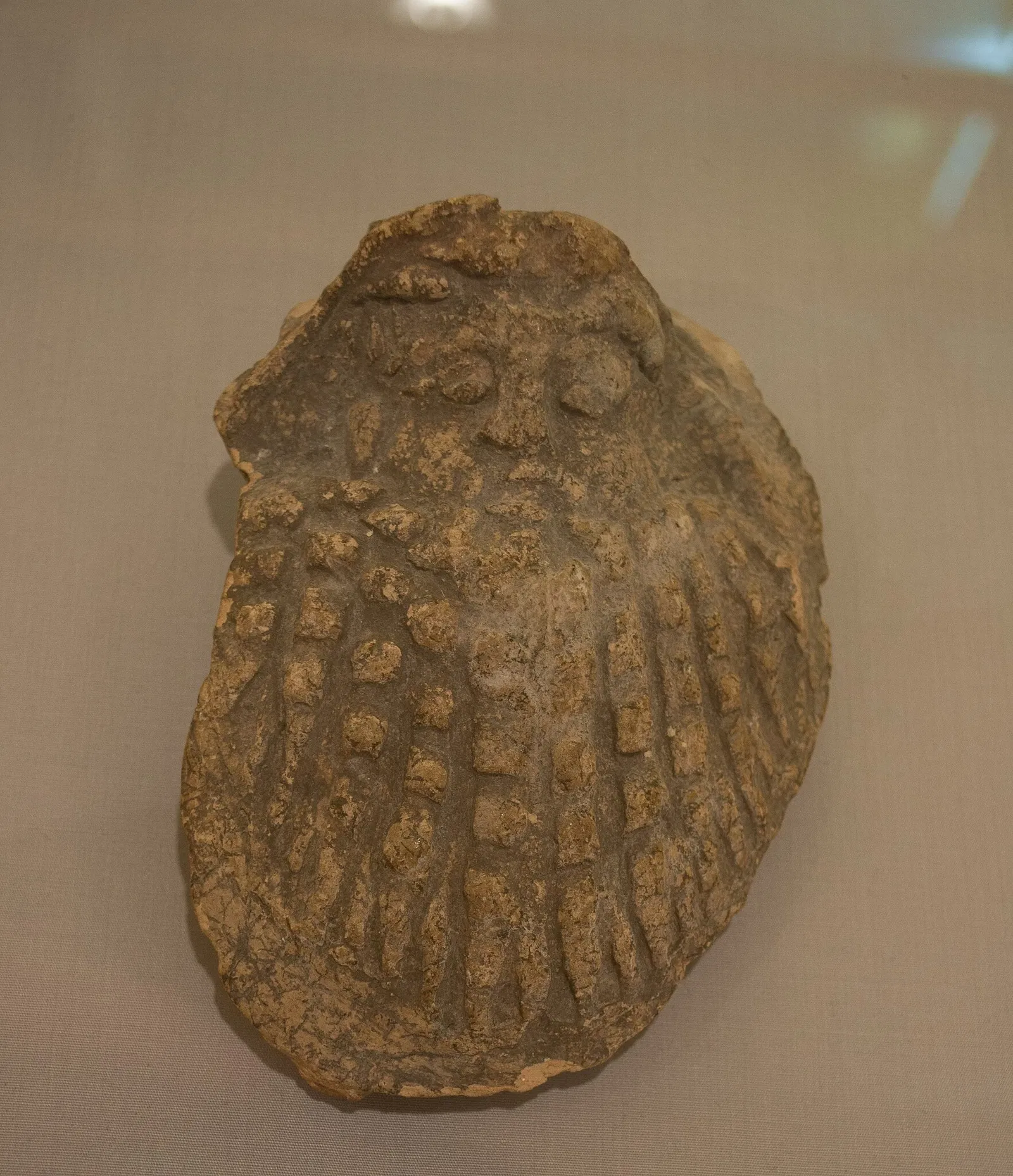 Archaeological Museum Camil Visedo