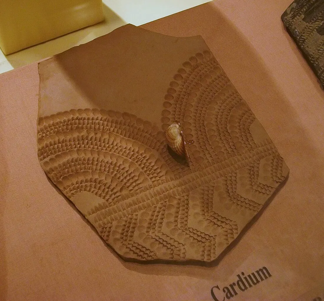 Archaeological Museum Camil Visedo