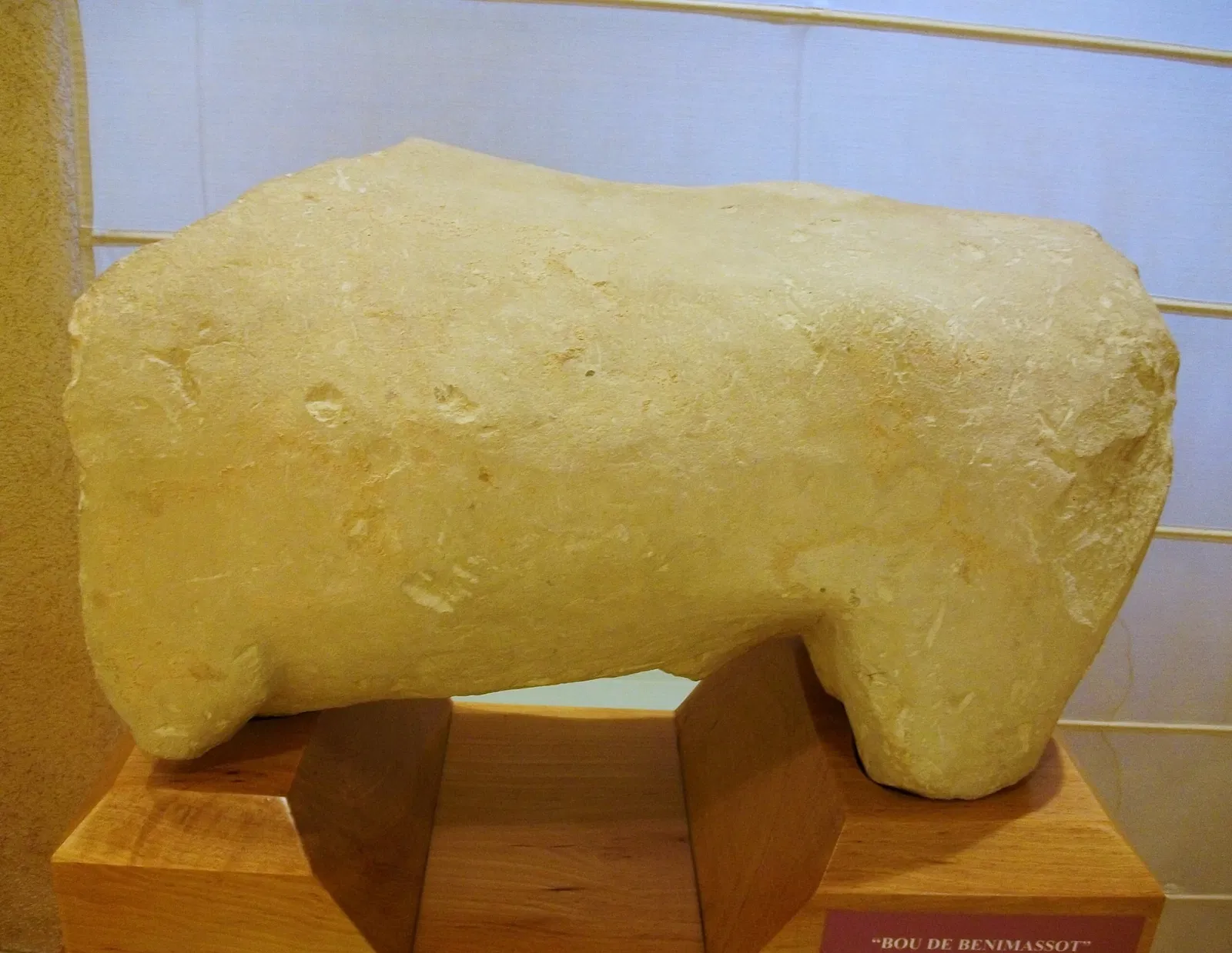 Archaeological Museum Camil Visedo