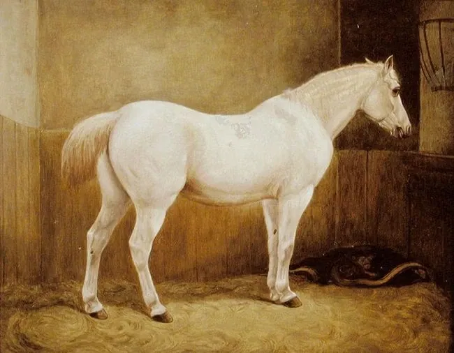 Musée Vivant du Cheval