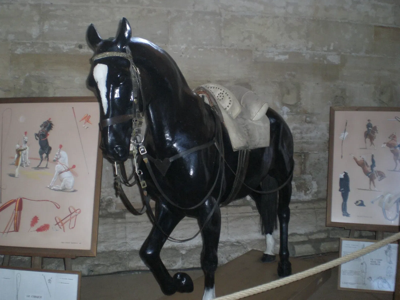 Living Museum of the Horse
