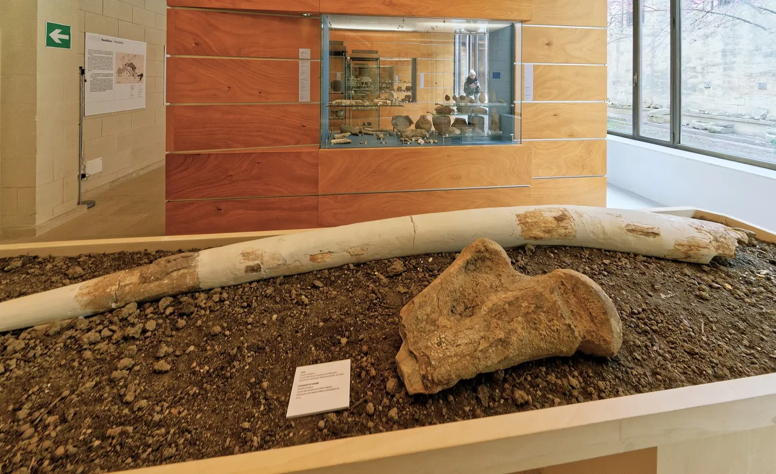 Museo Archeologico Nazionale Domenico Ridola