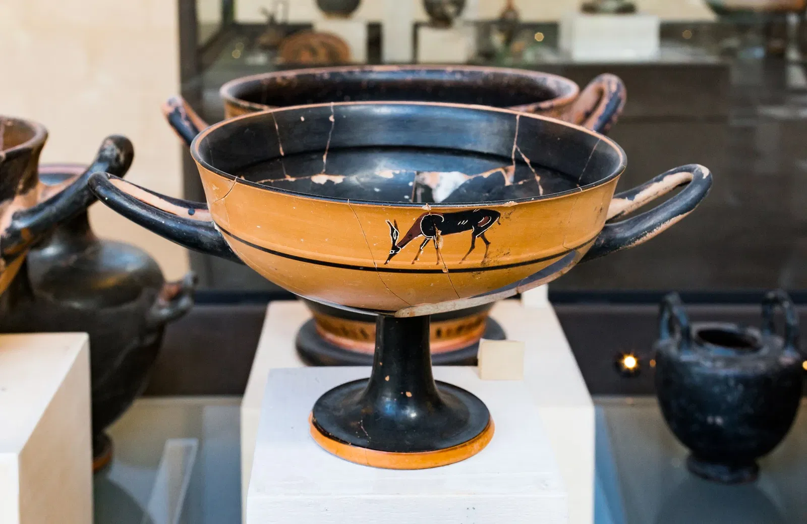 Museo Archeologico Nazionale Domenico Ridola