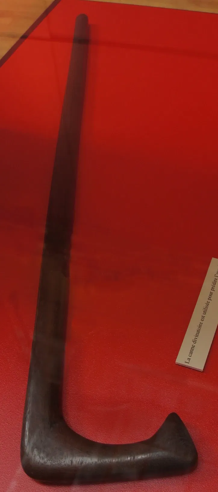 Musée des Beaux-Arts et d'Archéologie