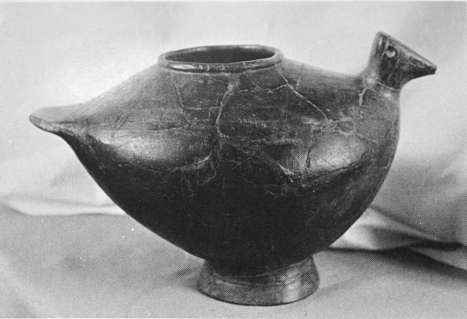 Musée des Beaux-Arts et d'Archéologie