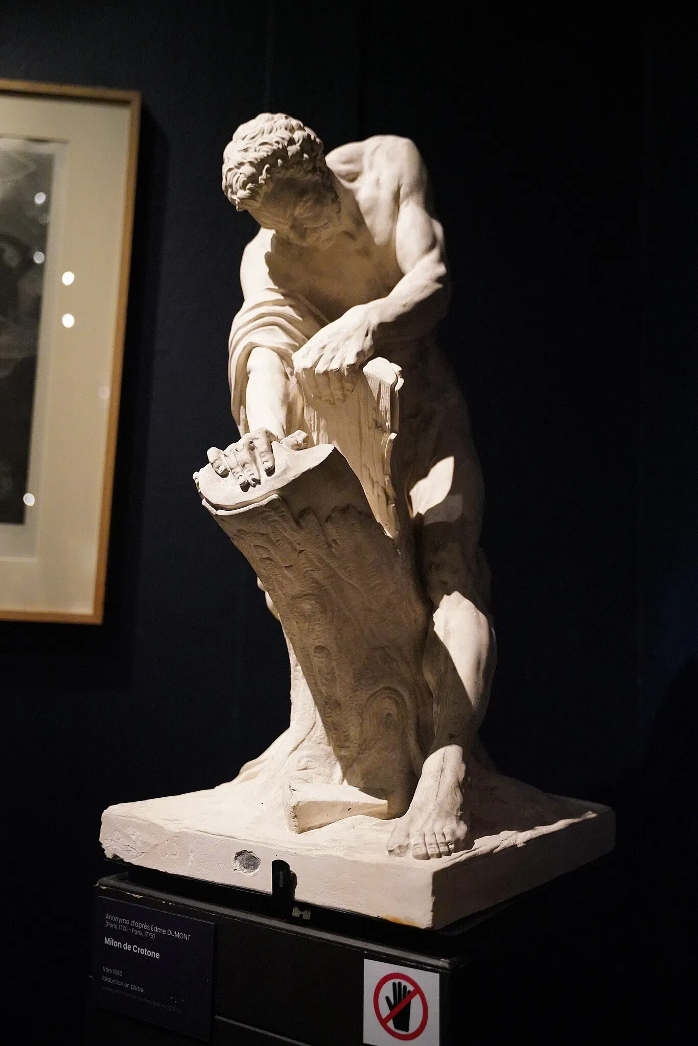 Museum of Fine Arts and Archaeology