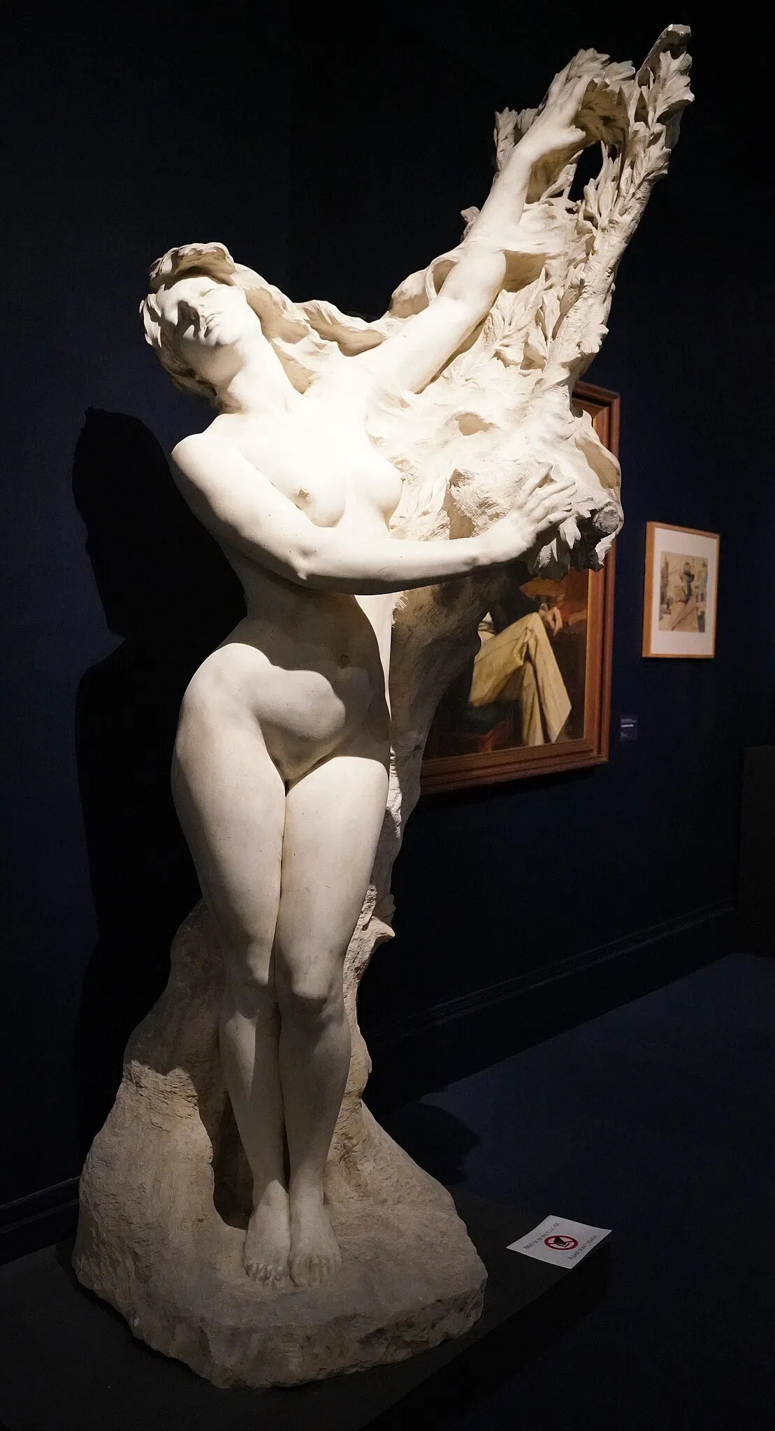 Museum of Fine Arts and Archaeology