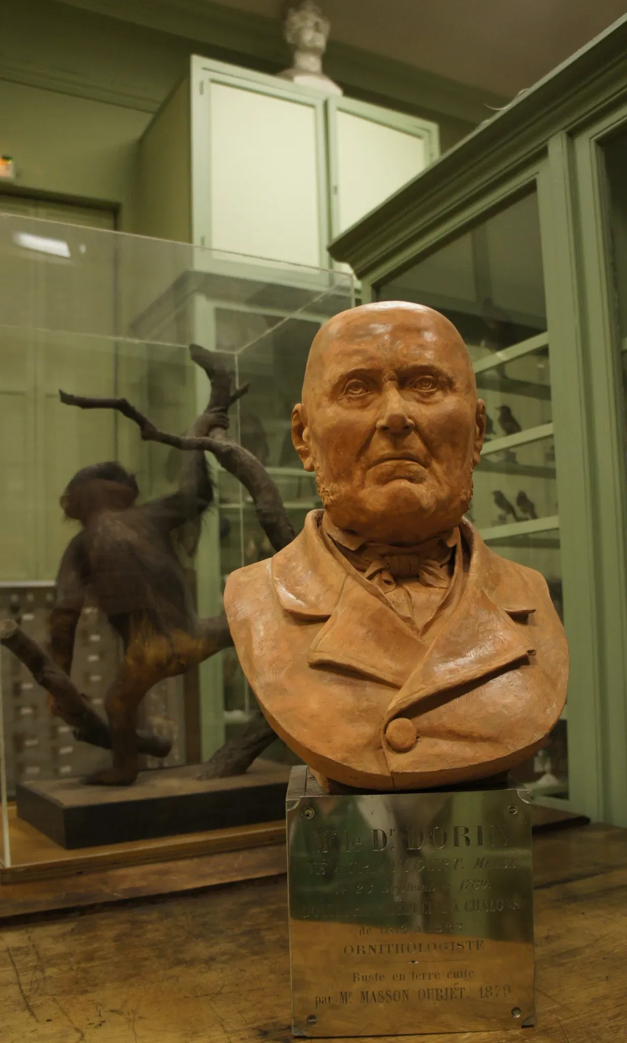 Museum of Fine Arts and Archaeology