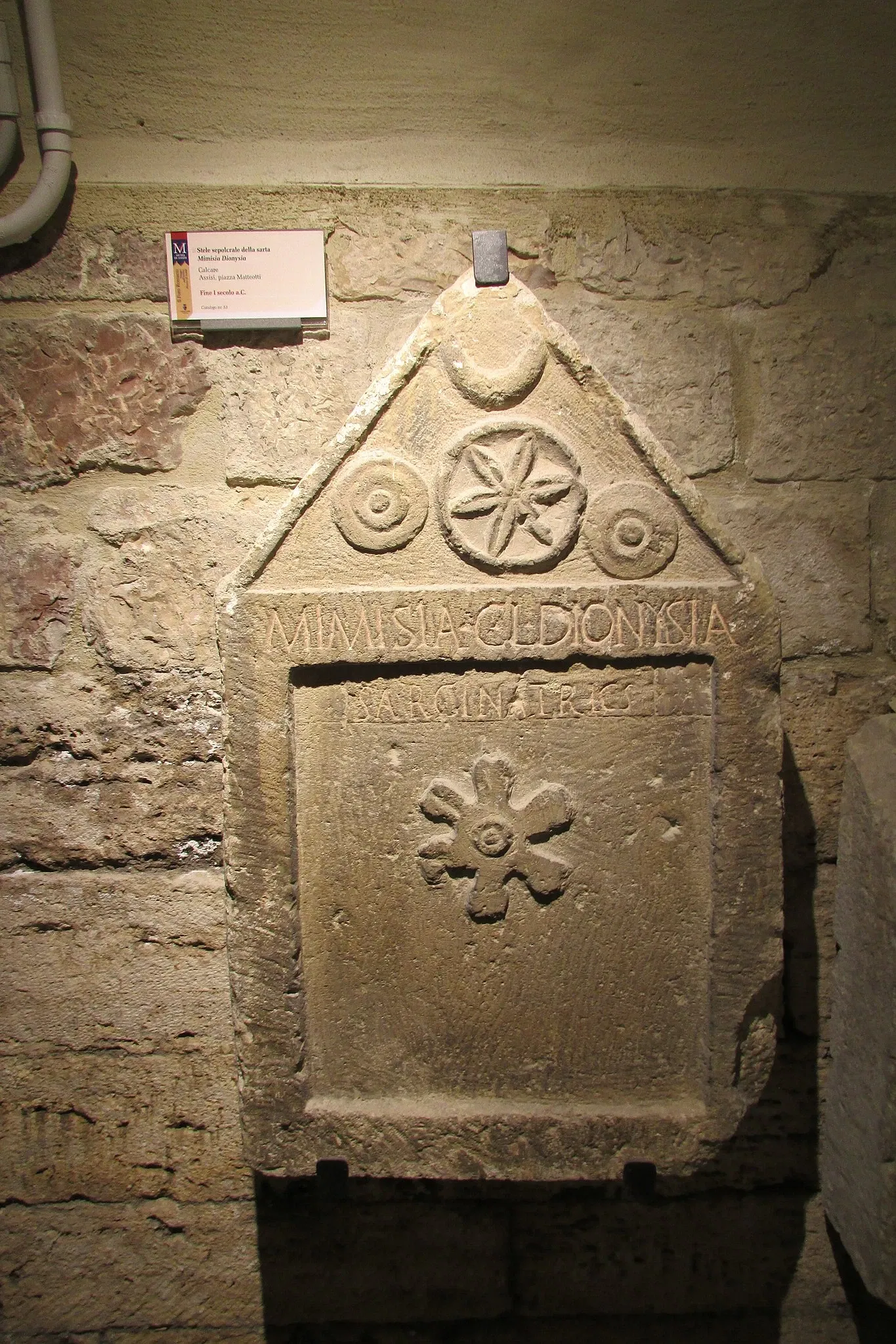 Foro Romano e Collezione Archeologica