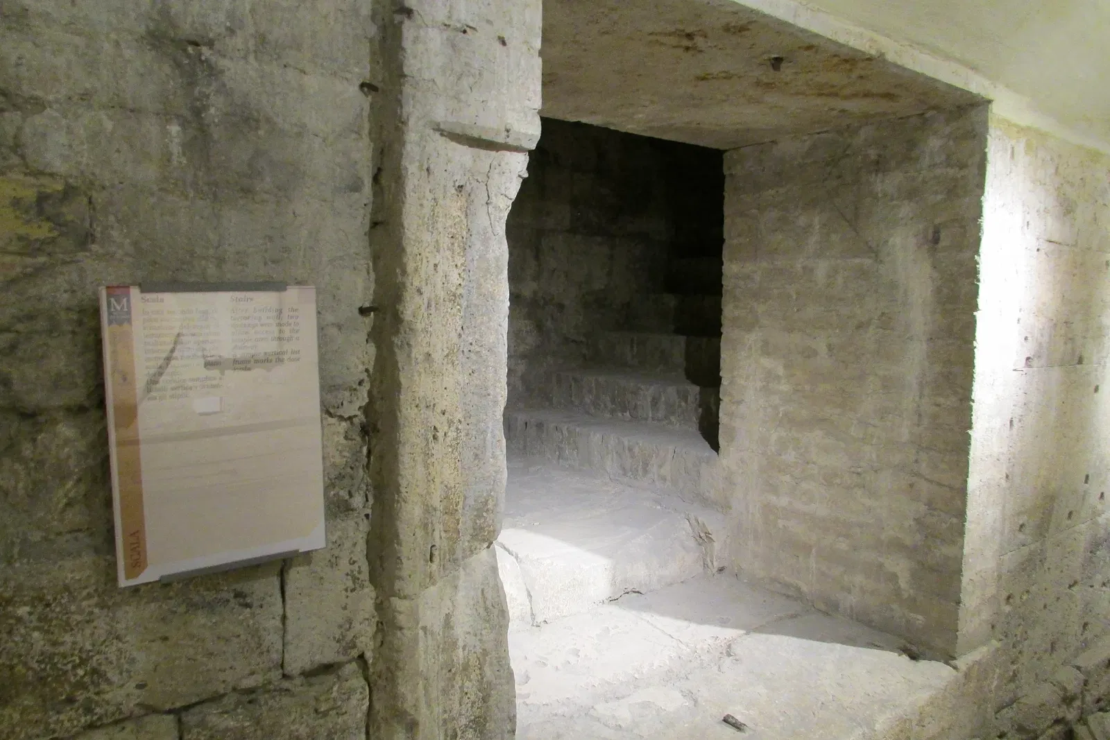 Foro Romano e Collezione Archeologica