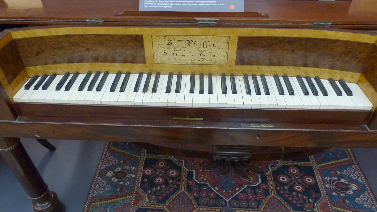 Musée des Beaux-Arts